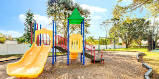 Vista Lake Ned Gallery 17