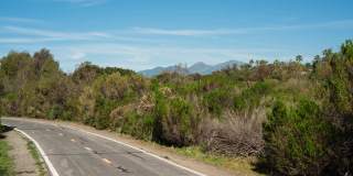 Villa Solana Gallery 3