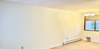 908 Liberty Street - C Gallery 22