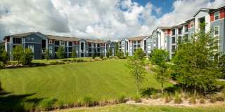 Century Dunes Gallery 15