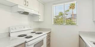 The Hendrix The Hendrix Gallery 54