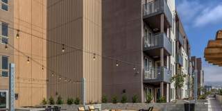 3698 vision cmn Gallery 15