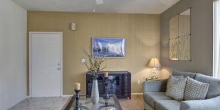 Arezzo Apartment Homes Gallery 16