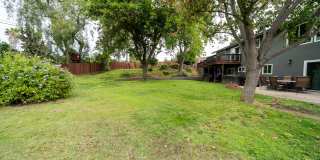 3709 Avenida Palo Verde Gallery 30