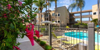 Mission Pacific Apartments Gallery 17