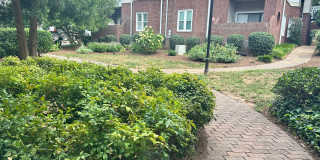 Adorable 2 Bedroom Condo! Gallery 6