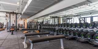 The Village Westside Gallery 15