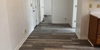 246 Basswood Avenue - 3 Gallery 2