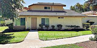 6837 Poppyview Dr Gallery 1