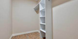 The Tree Apartments Gallery 40