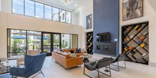Alleia Watters Creek Gallery 11