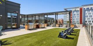Alta 801 Gallery 27