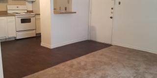 Forest Ridge Gallery 100