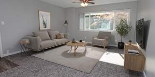 The Canopy Gallery 2