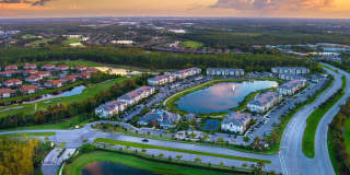 Town Treeline Gallery 31