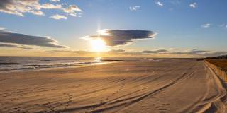 120 Mitchell Ave Gallery 28