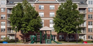 Avalon Cove Gallery 49