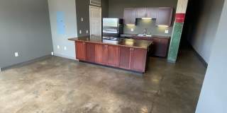 Mitchell Park Plaza Gallery 14