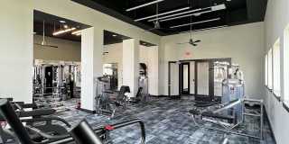 Virtuo Spring Gallery 10