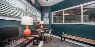 Meadow Springs Gallery 18