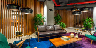 The Capitol The Capitol Gallery 16