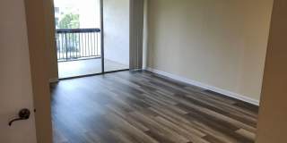 731 N Pine Island Road Gallery 4