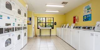 Fernwood Grove Gallery 10