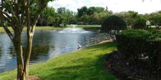 3399 MERMOOR Drive Gallery 15
