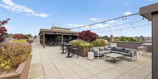 Ballard Public Gallery 81