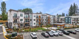 Allegro Lynwood Gallery 11