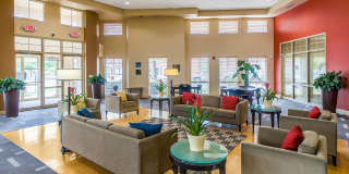 Renaissance Place at Grand Apartments Gallery 5