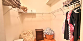 15022 Balmoral Loop Gallery 10