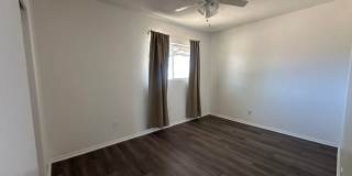 Newly Remodeled 2 bed 1 bath home! Gallery 16