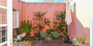 10198 El Monterey Avenue Gallery 15