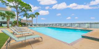 Pirates Landing Gallery 22