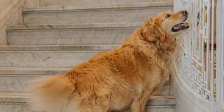 Mutual on Main Gallery 26