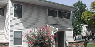 Mountain View Gallery 10