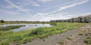 Authentix Greeley Gallery 74