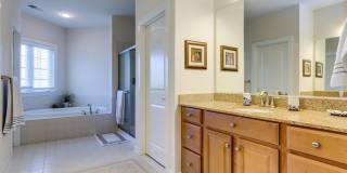 42463 PINE FOREST Drive Gallery 18