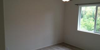 Dynamite 4 Bed, 2.5 Bath SW Home With All the Bells & Whistles Gallery 17