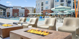 Bluebird on Seventy Gallery 28