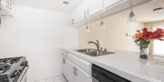 400-420 N. Oakland Ave. Gallery 18