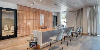 Agave Gallery 75
