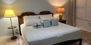 Living the Life! Gallery 9