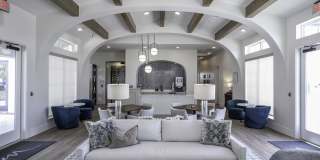 Modera Walsh Gallery 5