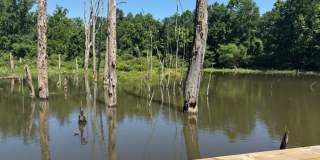 The Villages at Morgan Metro Gallery 71