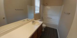 1238 Lion King Gallery 5