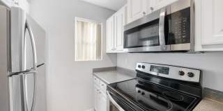 Bristle Pointe Gallery 15