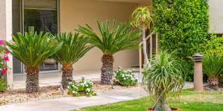 477 Desert Lakes Drive Gallery 1