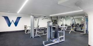 The Wynnewood Gallery 14